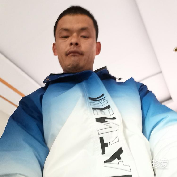 习惯了你的味道