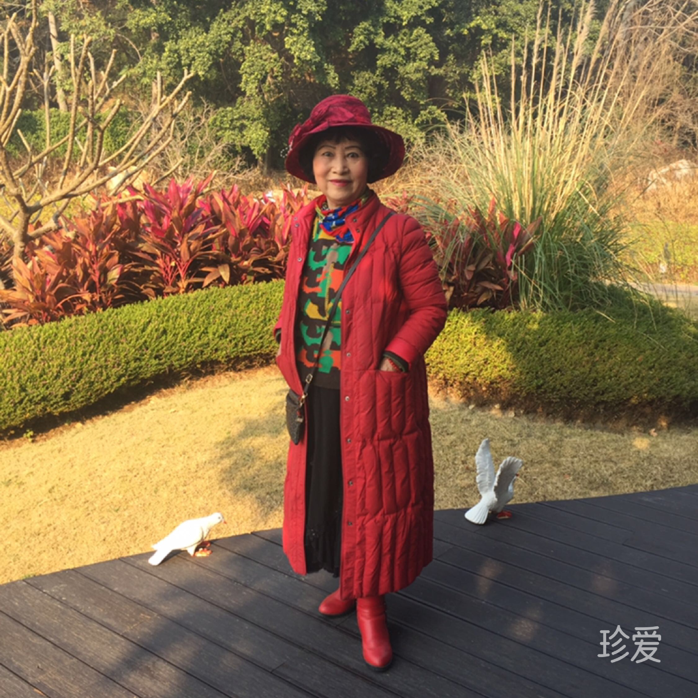 风景如你