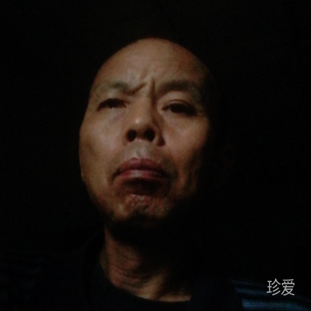 树有情