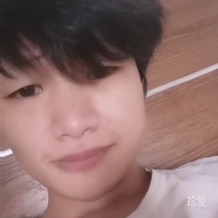 飞文