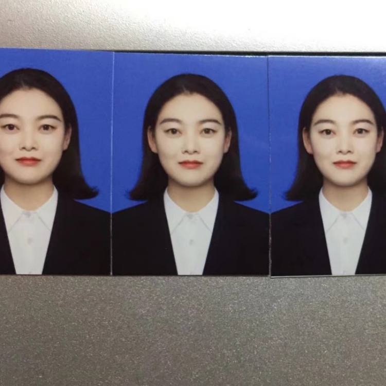 住你隔壁的阿貓