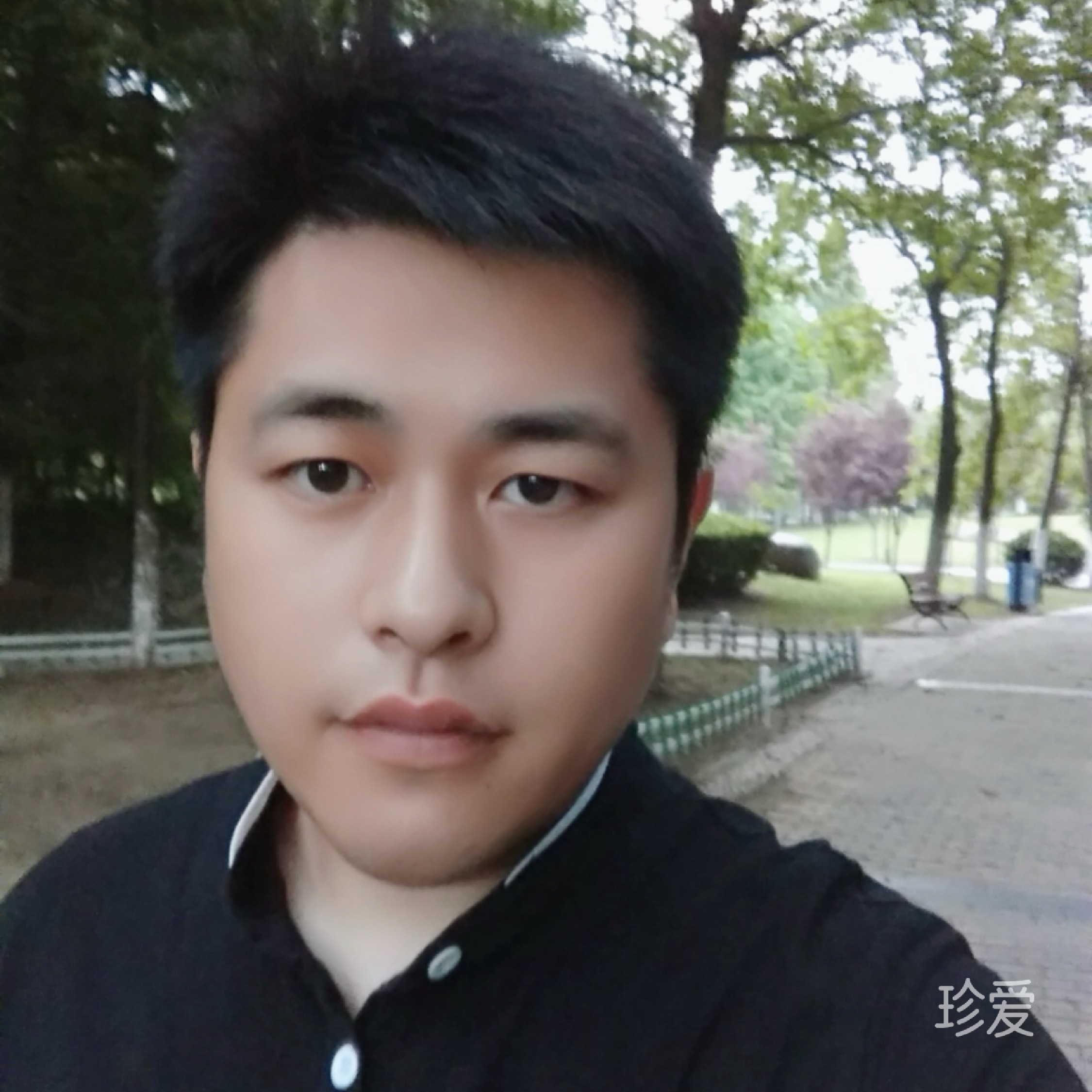 真成找伴侣