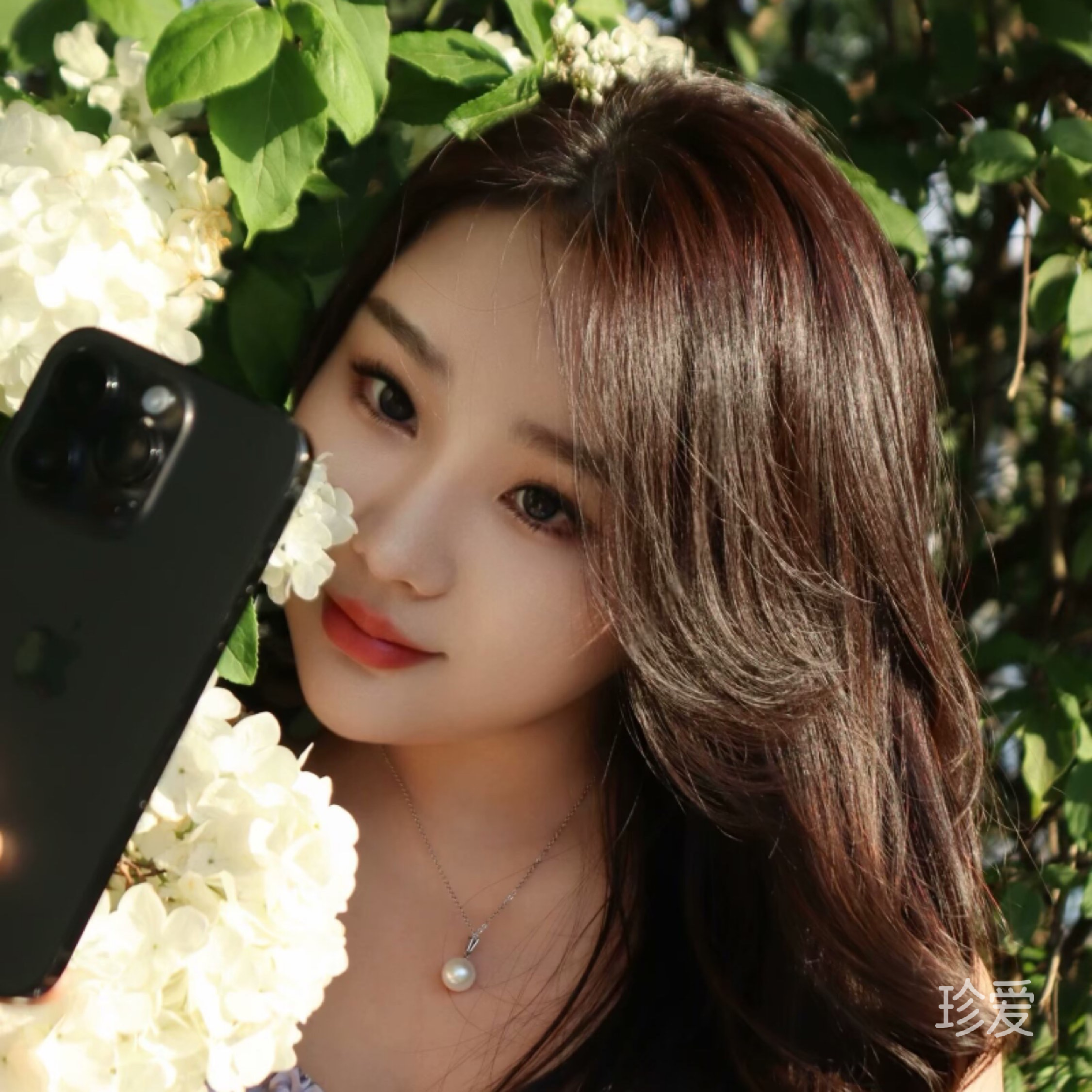 Lisa