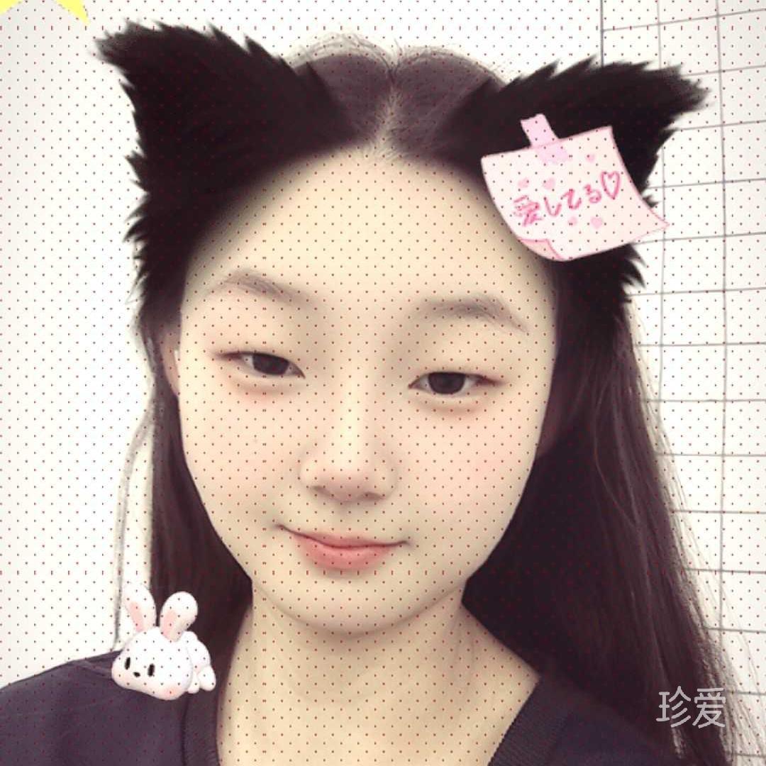戴面具的猫