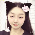 戴面具的猫