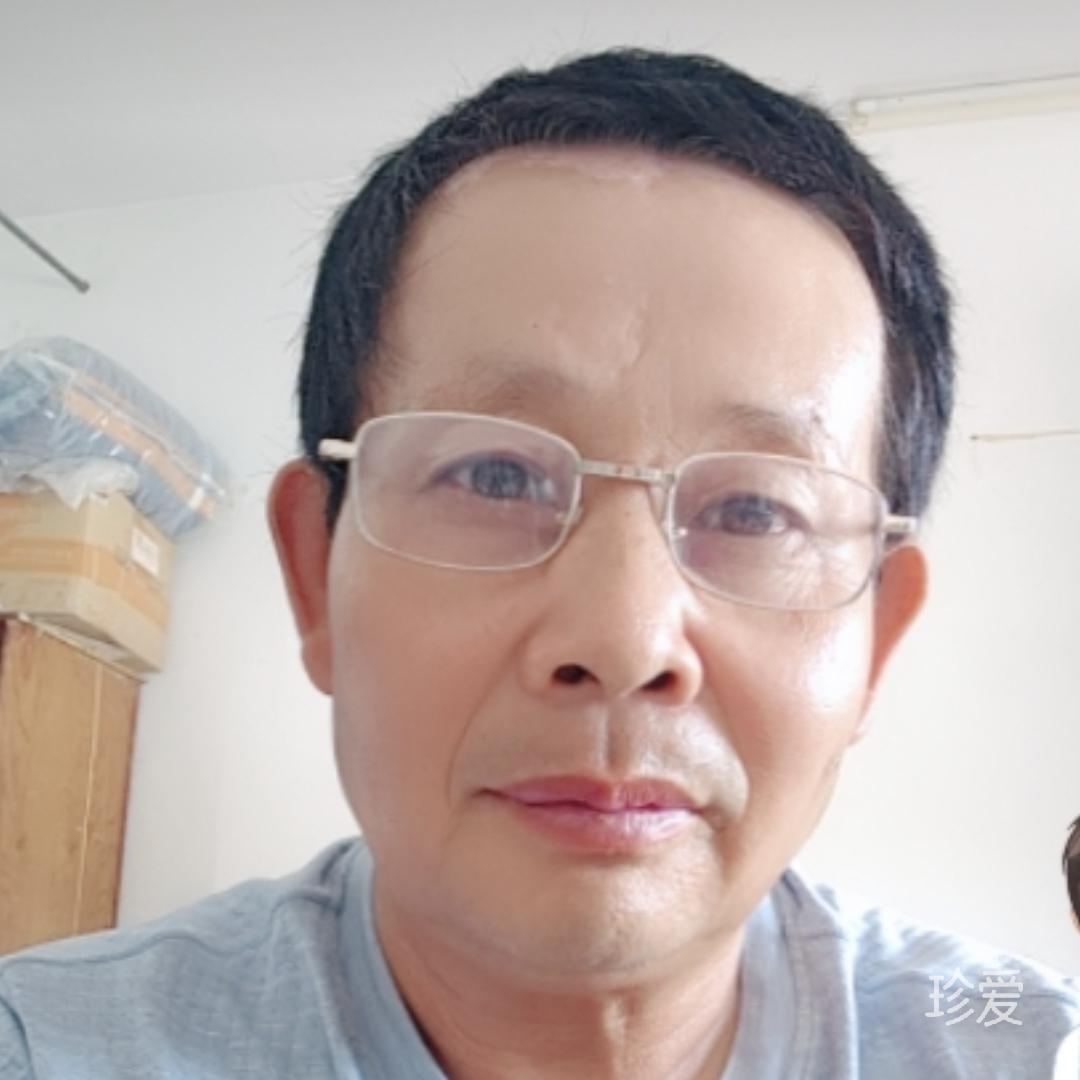 傻小猪