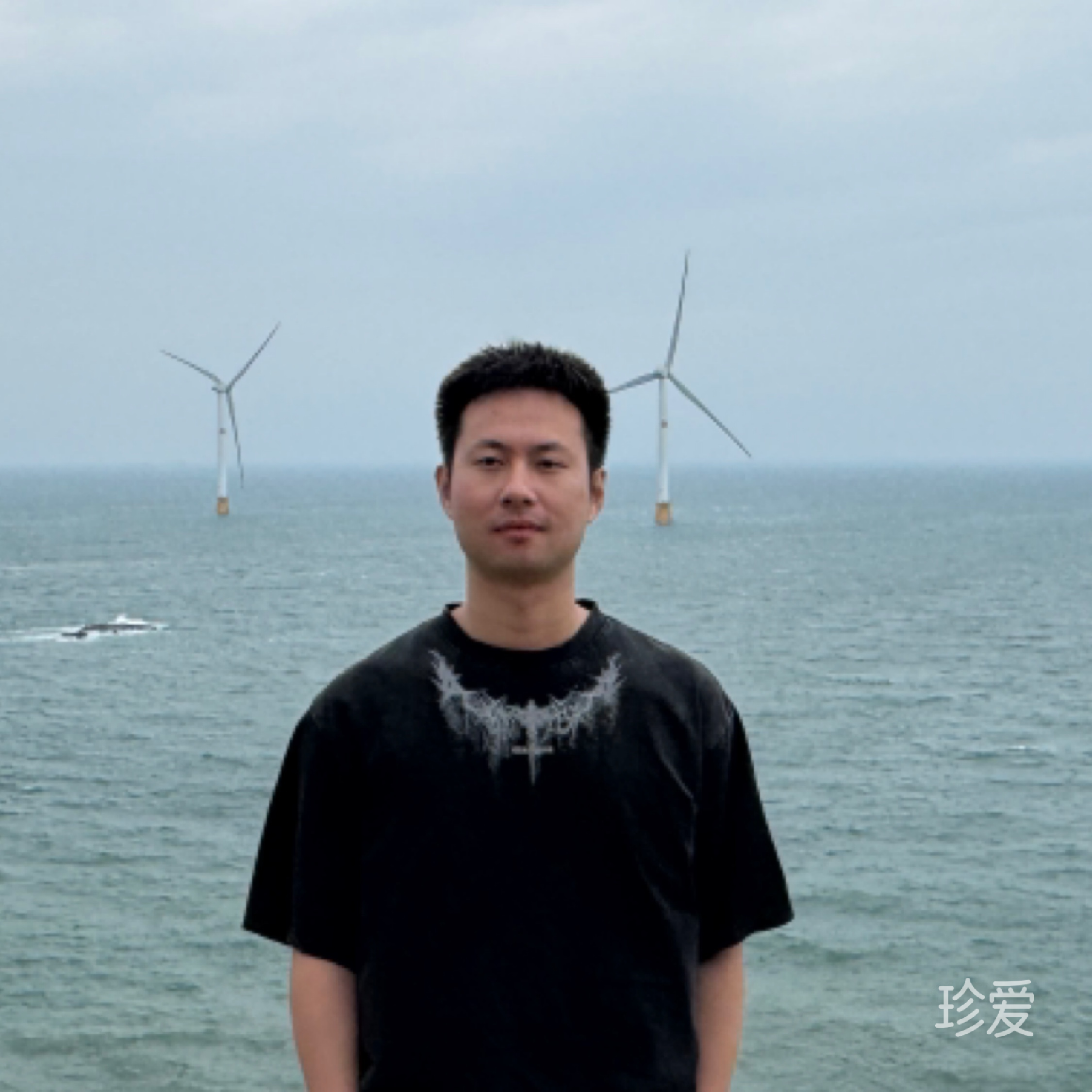 海边的芦苇