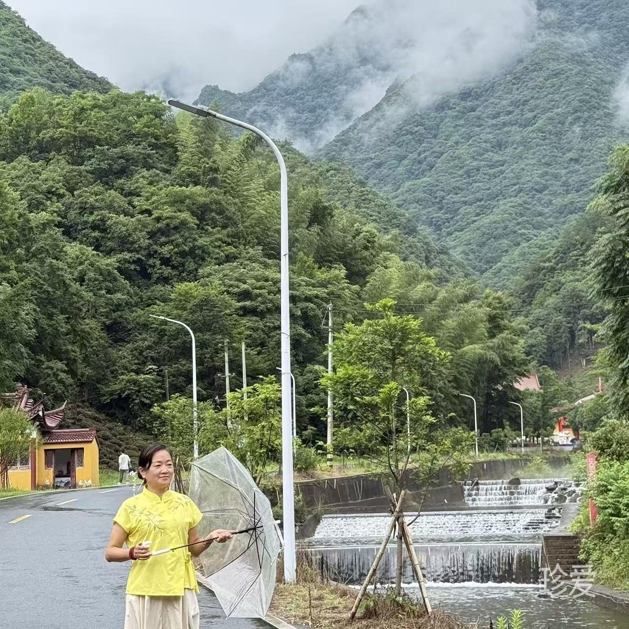 珊瑚