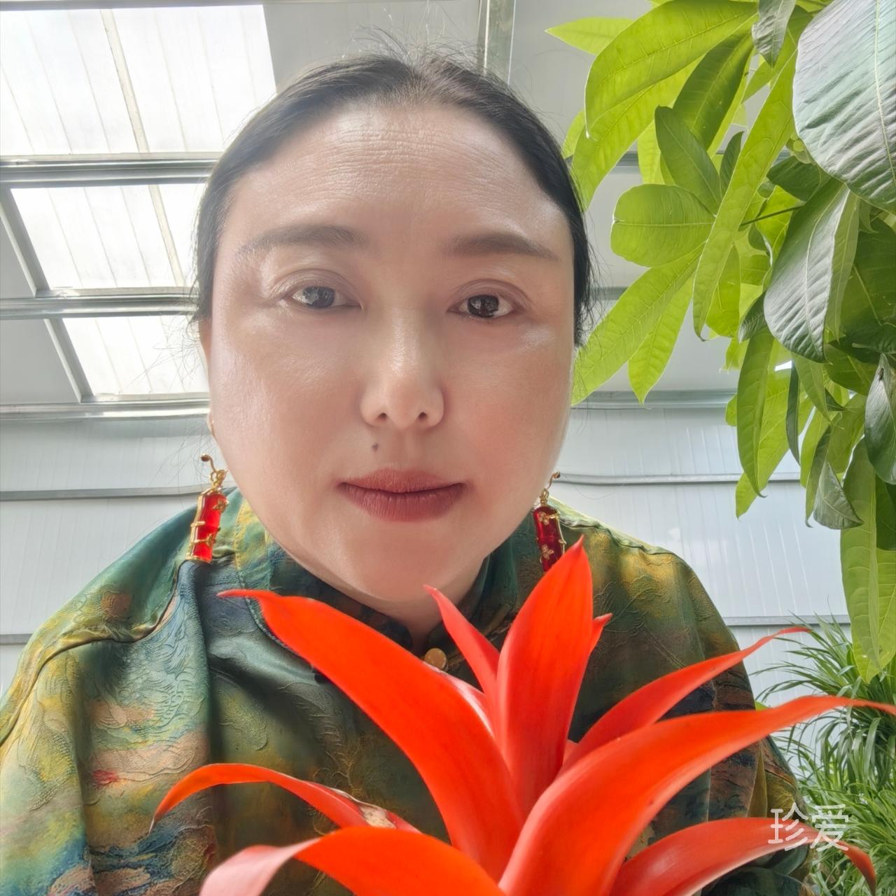 摩天之星茶館主理