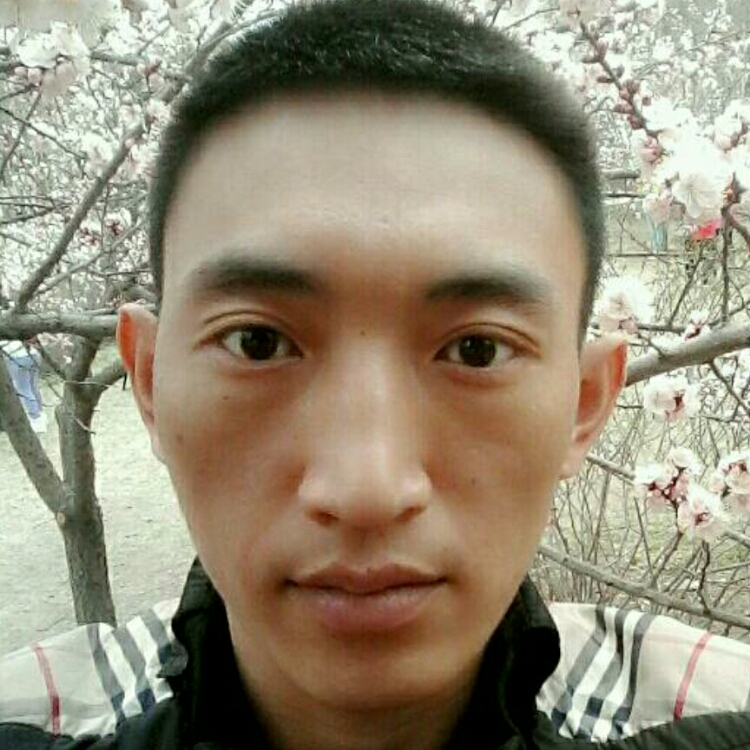 一杯安靜的清茶