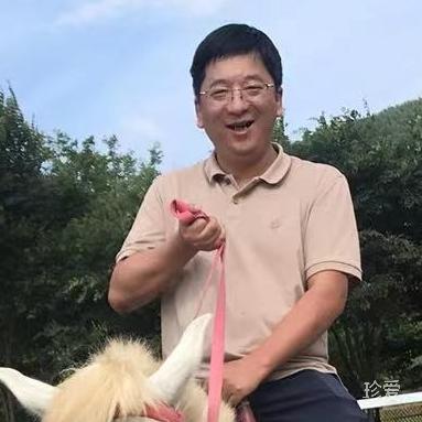 旋轉(zhuǎn)木馬