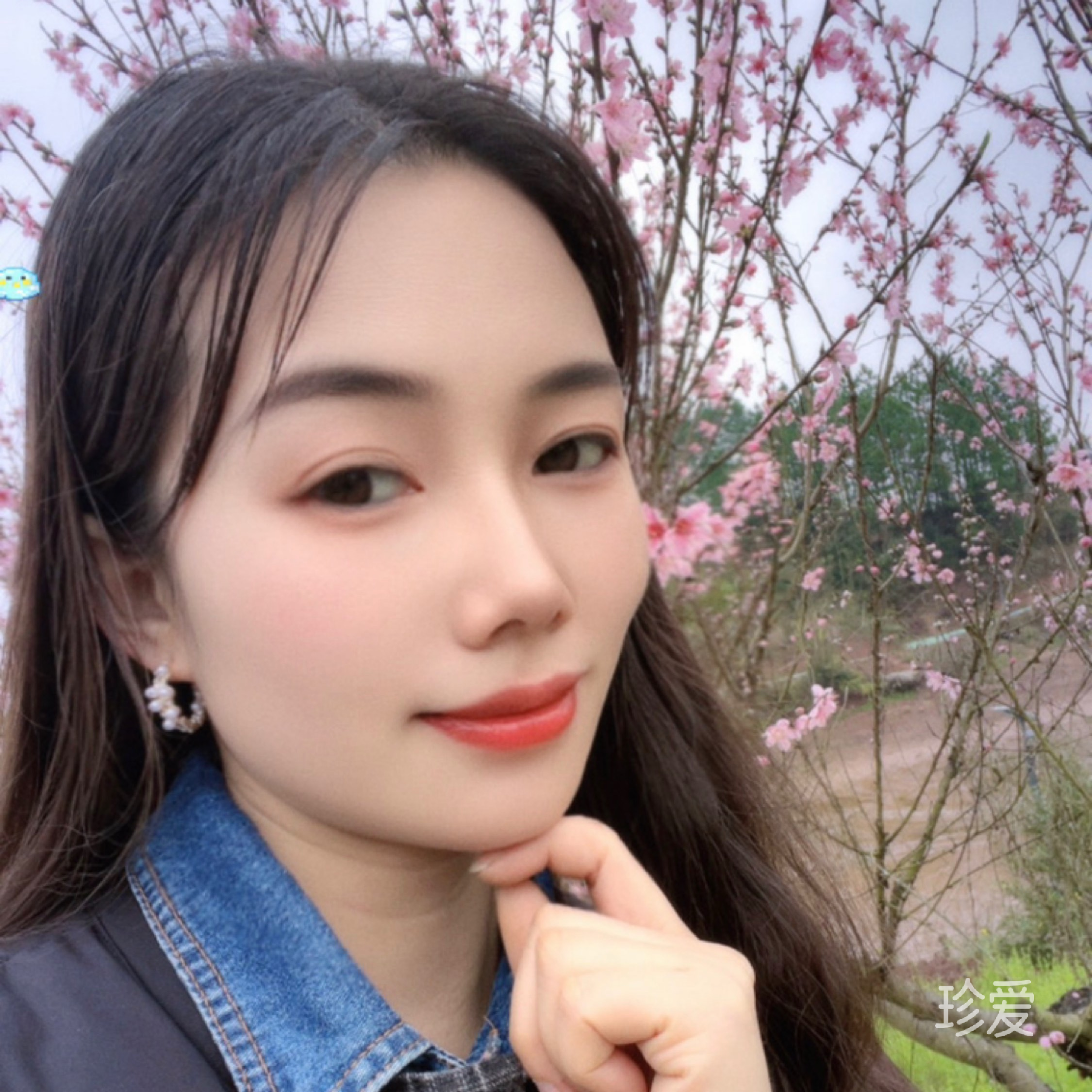 锦上添花