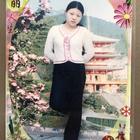 涼巷的花貓
