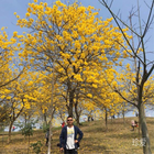 自驾旅居雄关漫