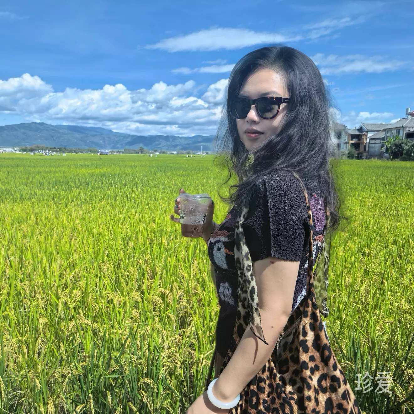 会员1742933037