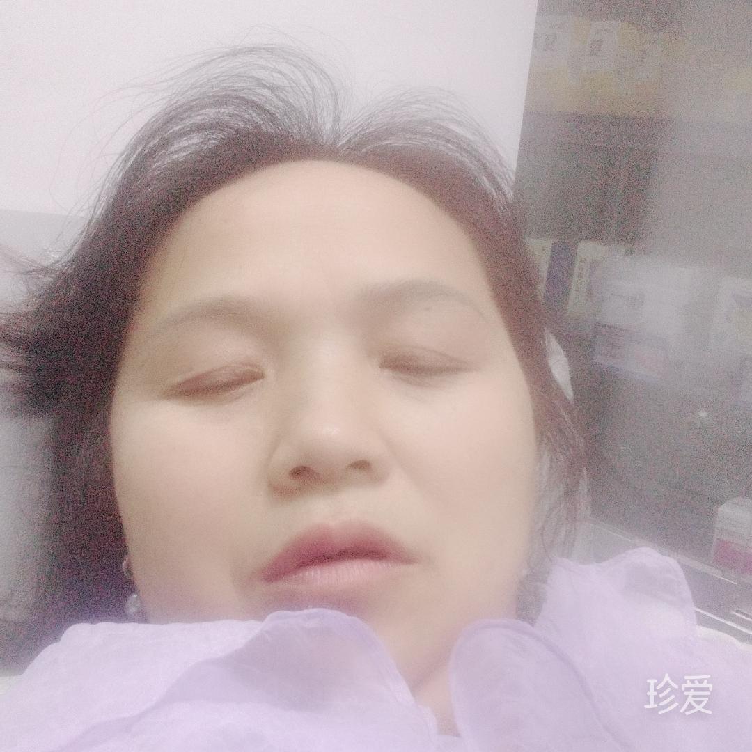巧克力狗