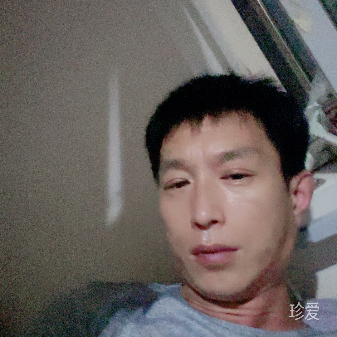 诗酒趁年华
