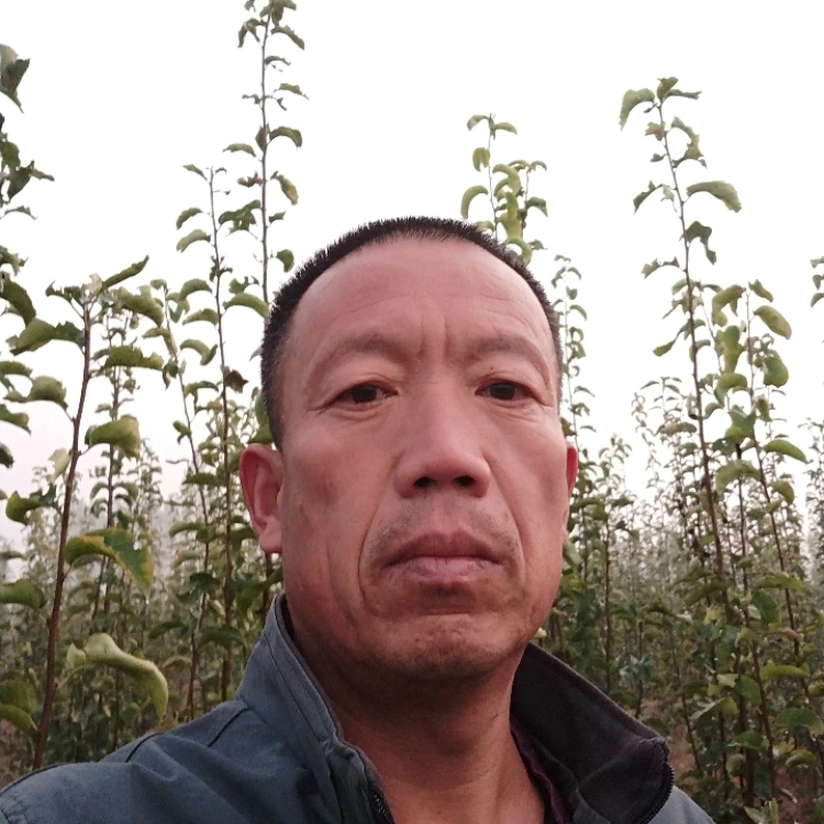 谁来做我的新娘