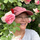 特立獨(dú)行的兔