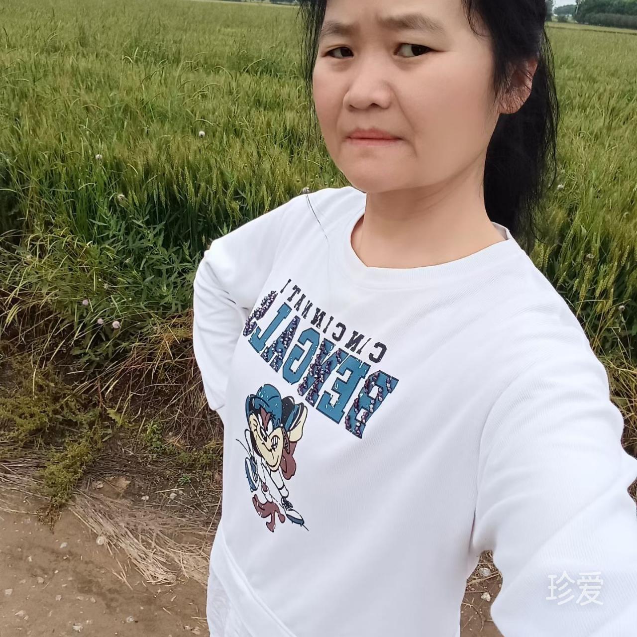 六颗星