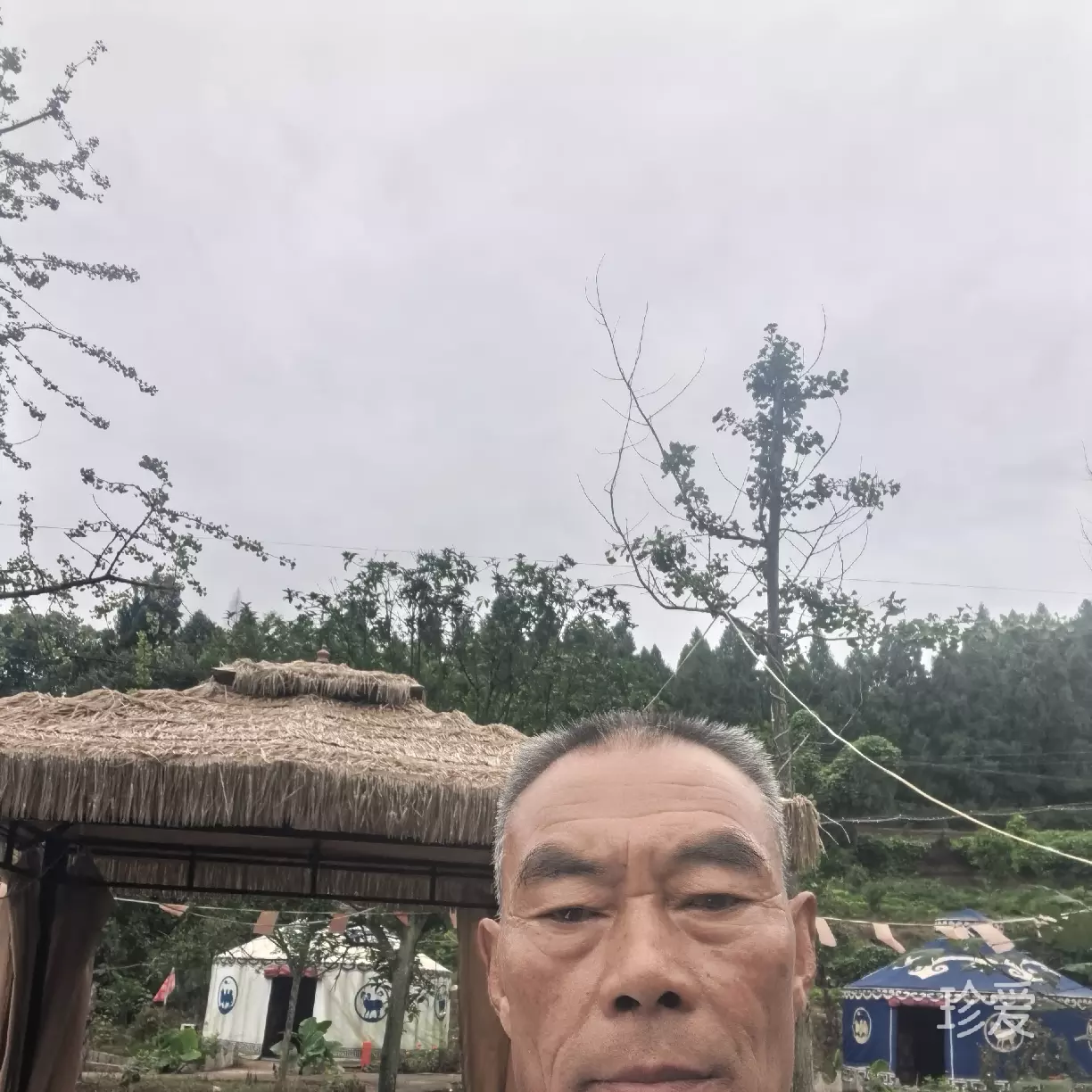 知心