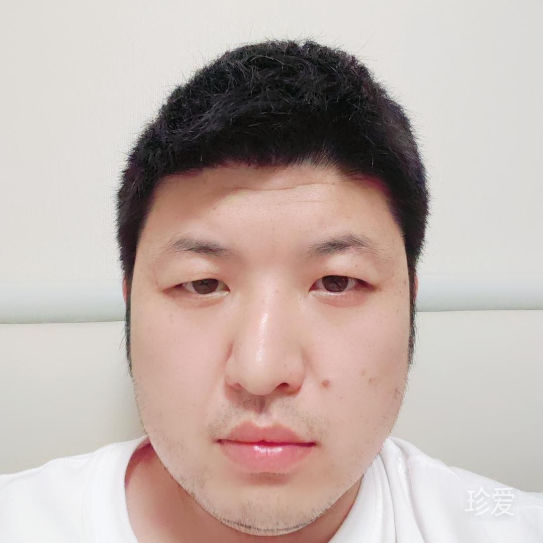 一只小边牧