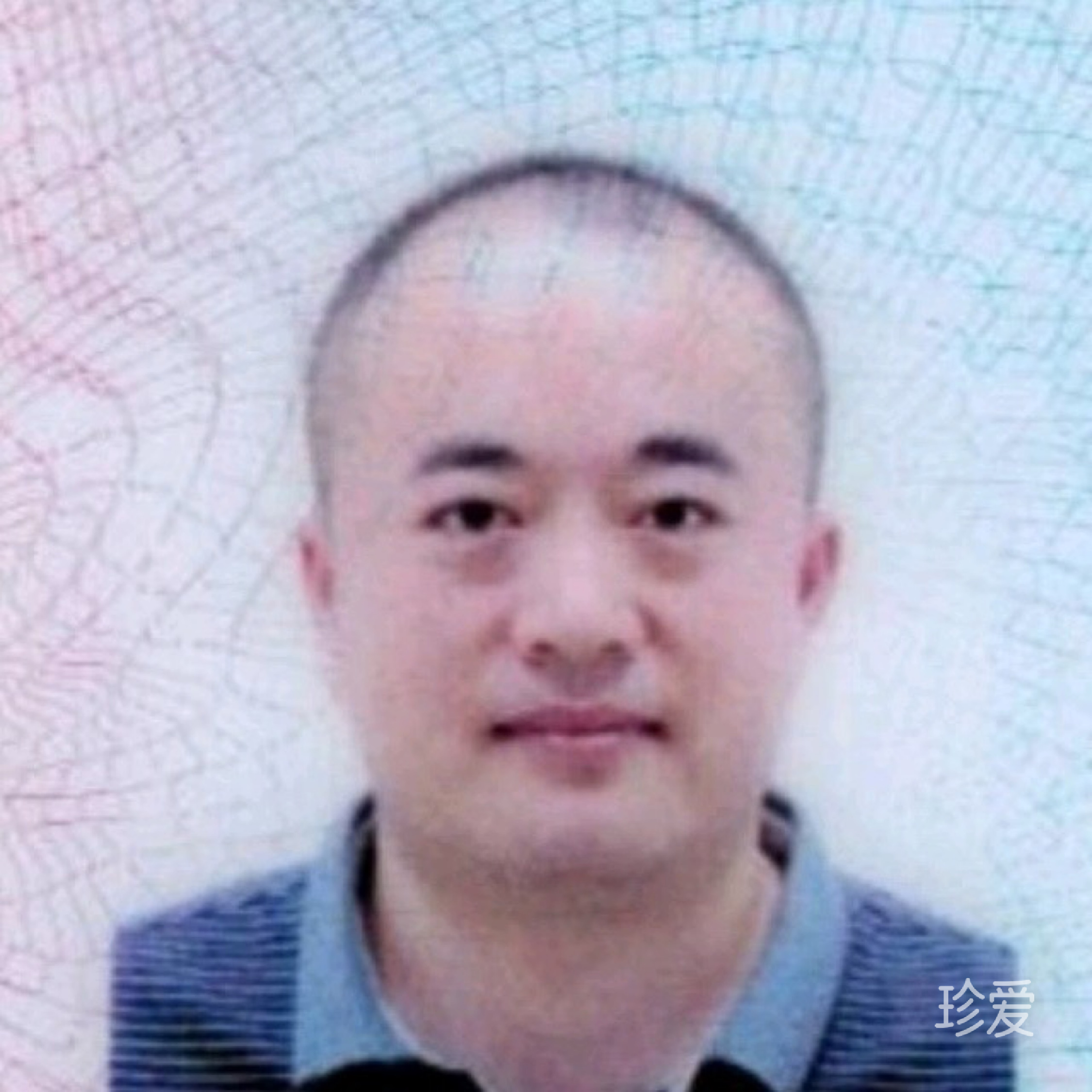大森林