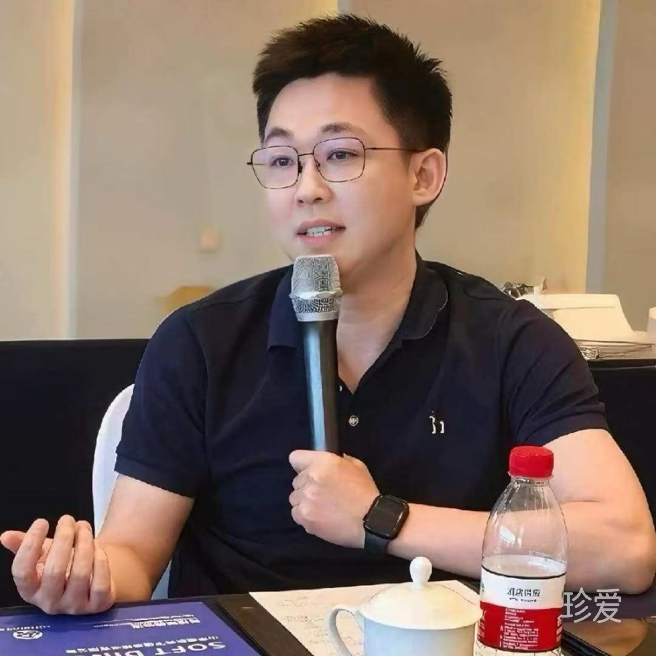 落叶追风