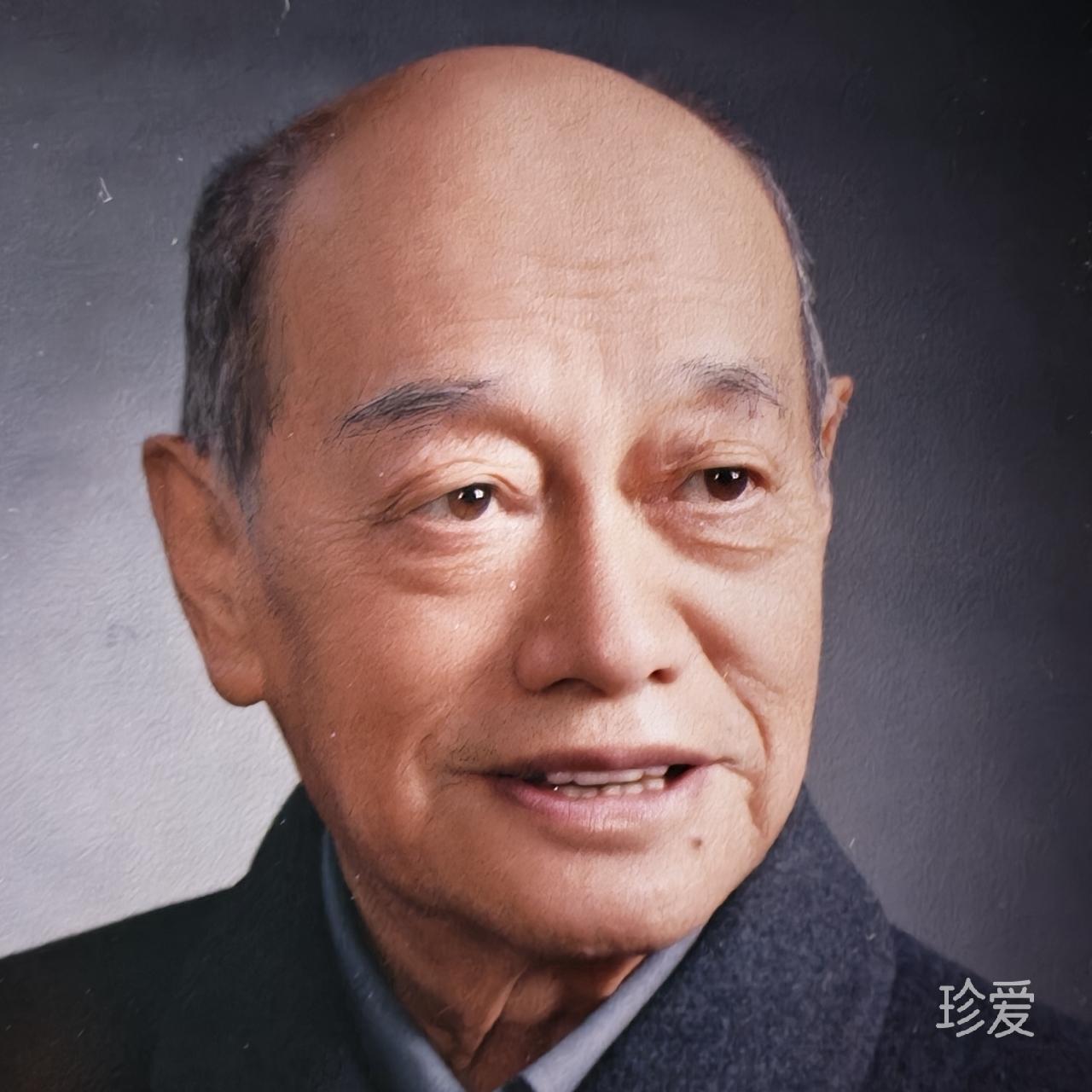 雲中游子