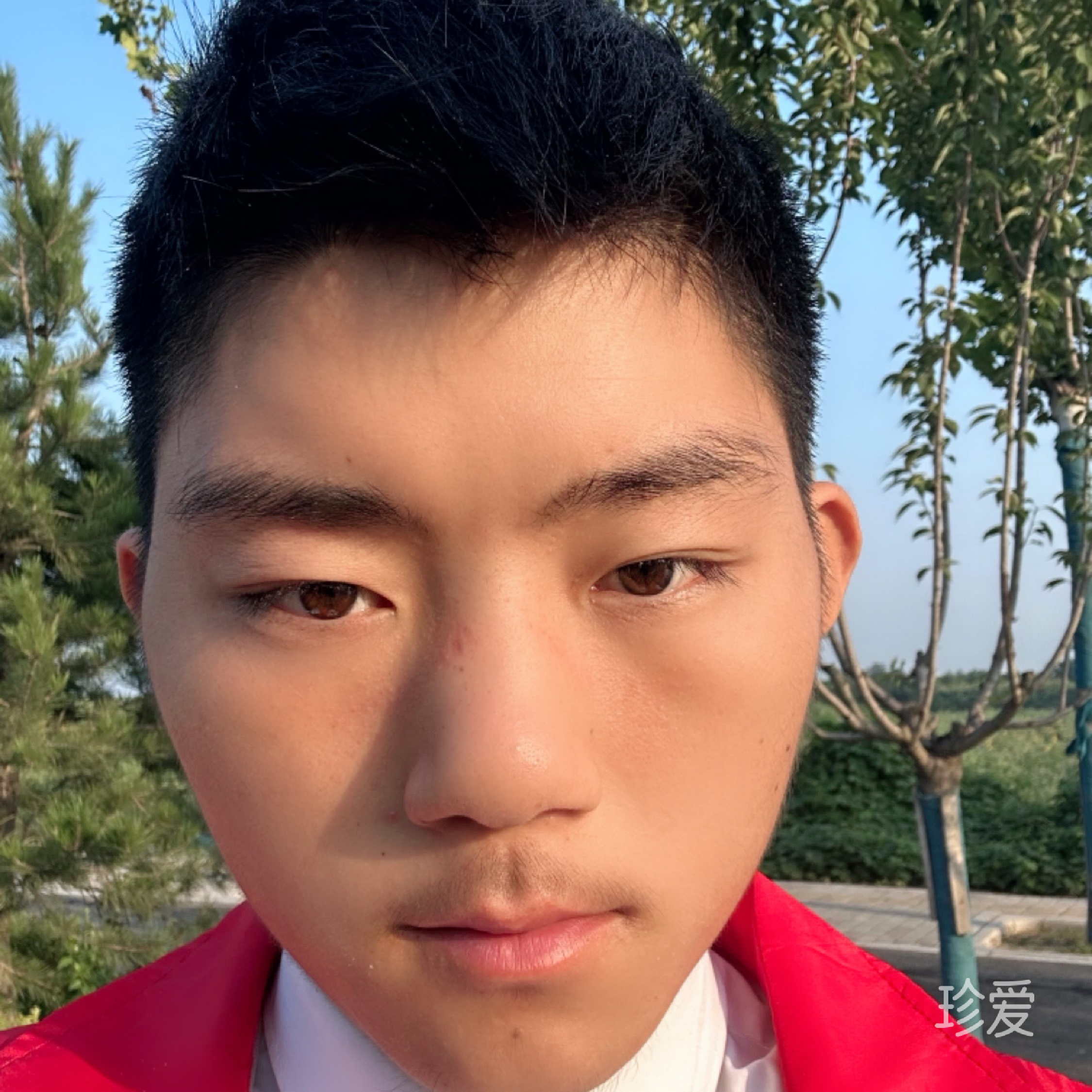 苏蓬勃