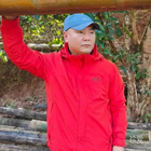 菩提樹