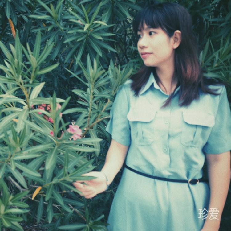 愛(ài)自由的流浪貓