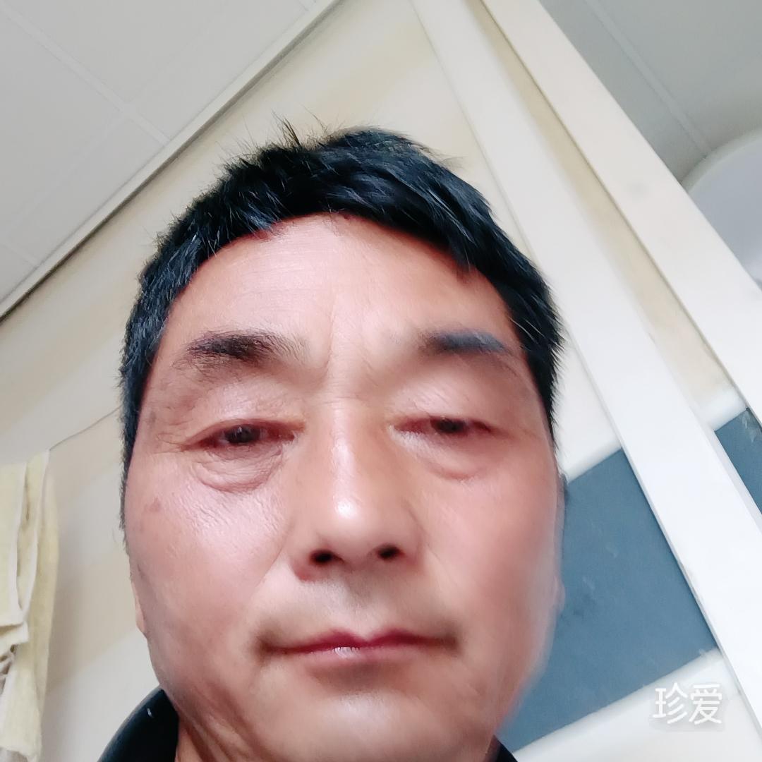 会飞的骆驼