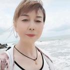 夢飛的青鳥