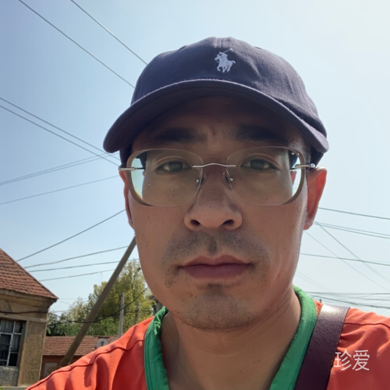 清风望世界