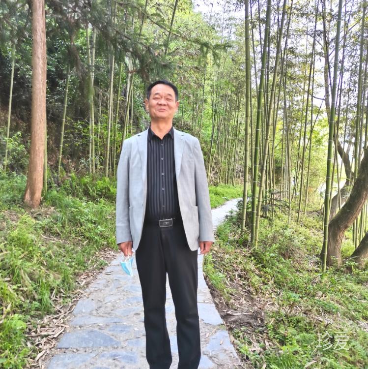 秋风不懂落叶情