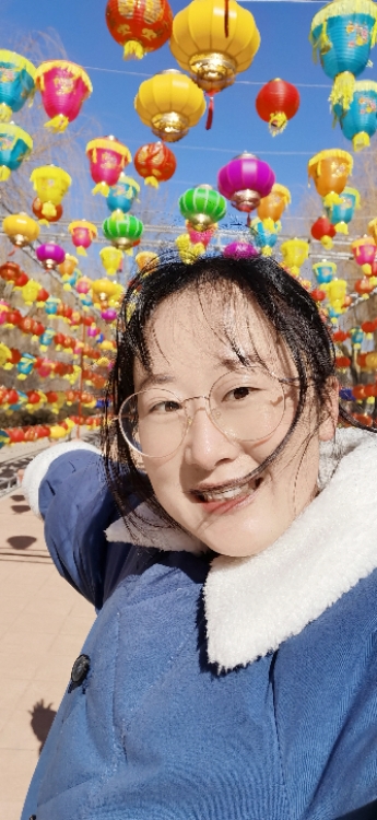 風(fēng)雨中的向日葵