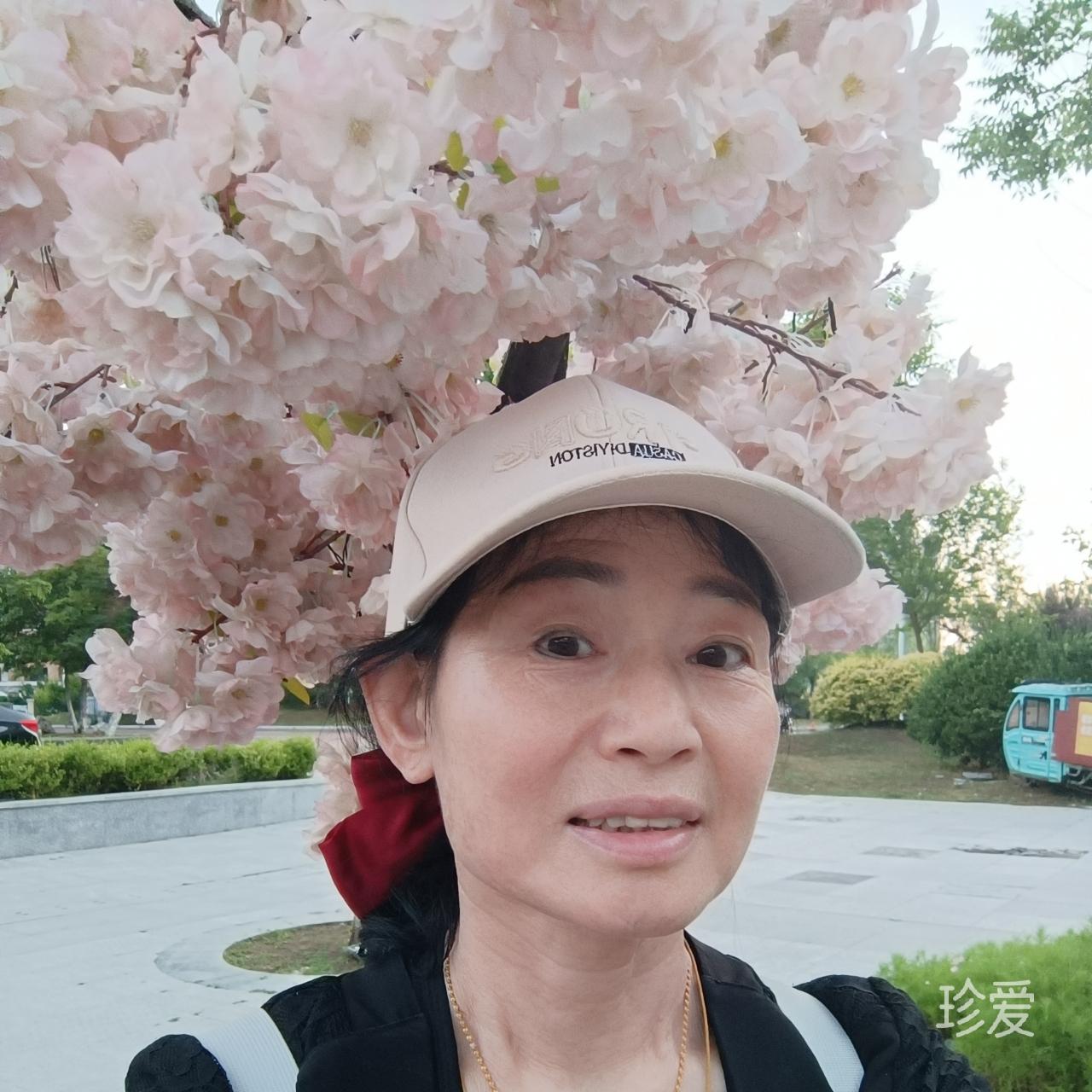 苹妹