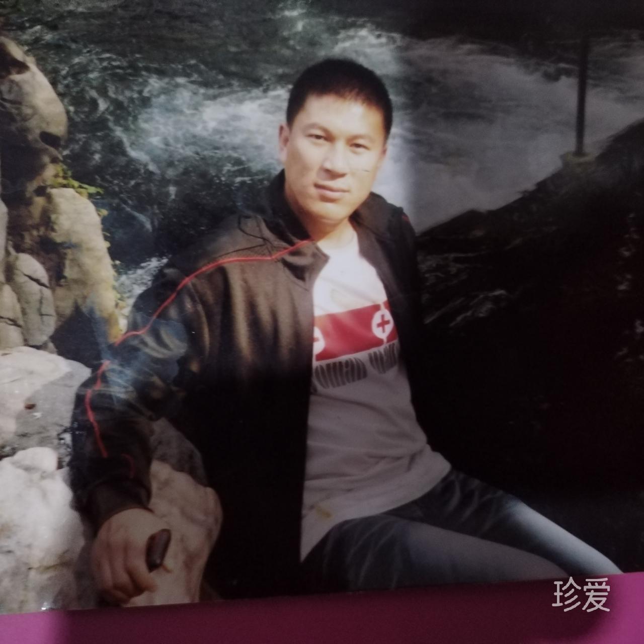 爱上鱼的猫