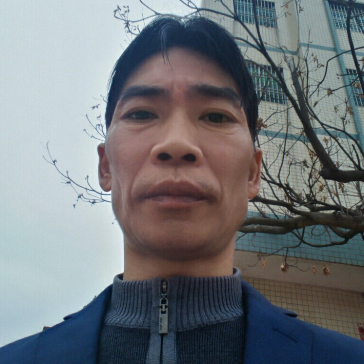 不离不离真心真意