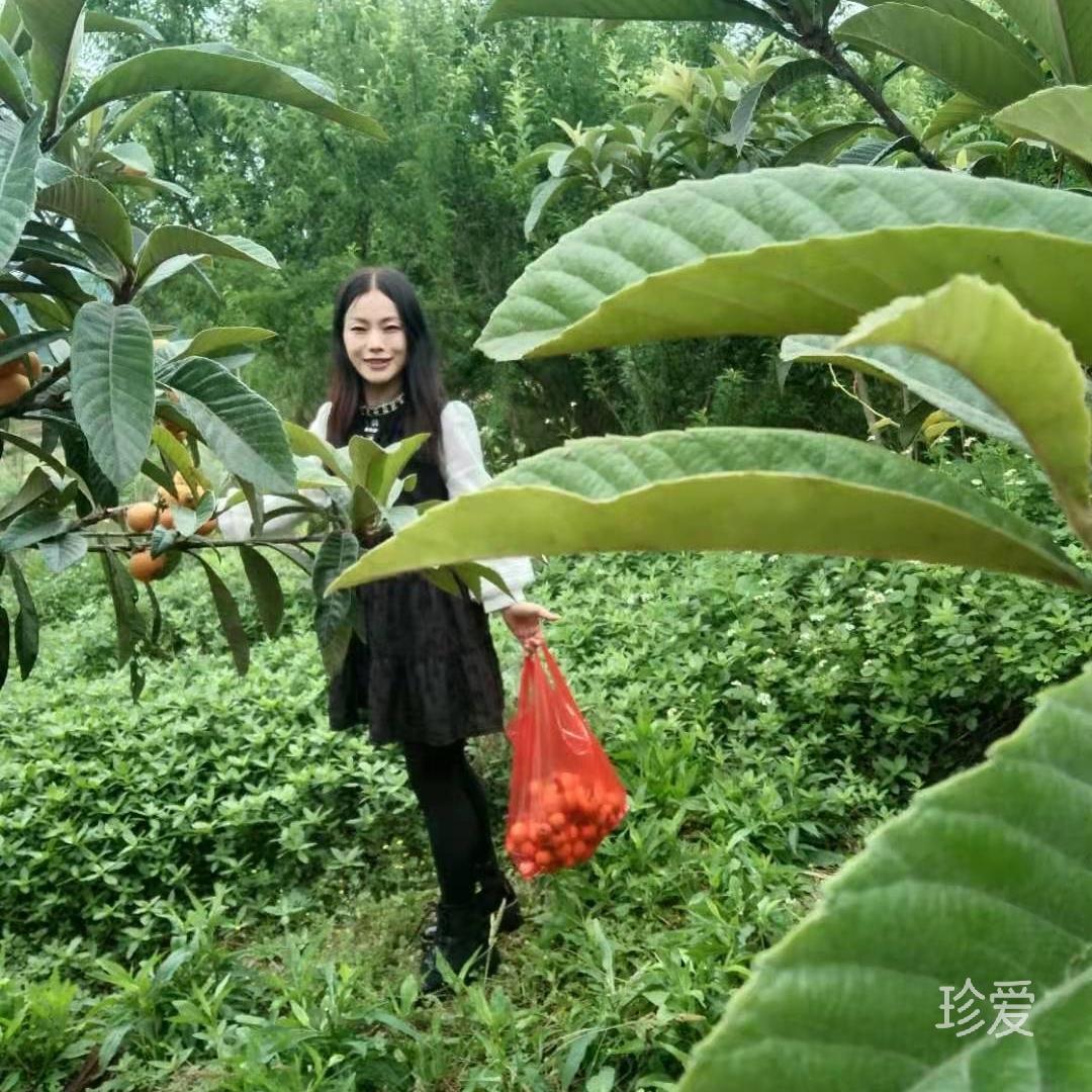 lf人不小心不老