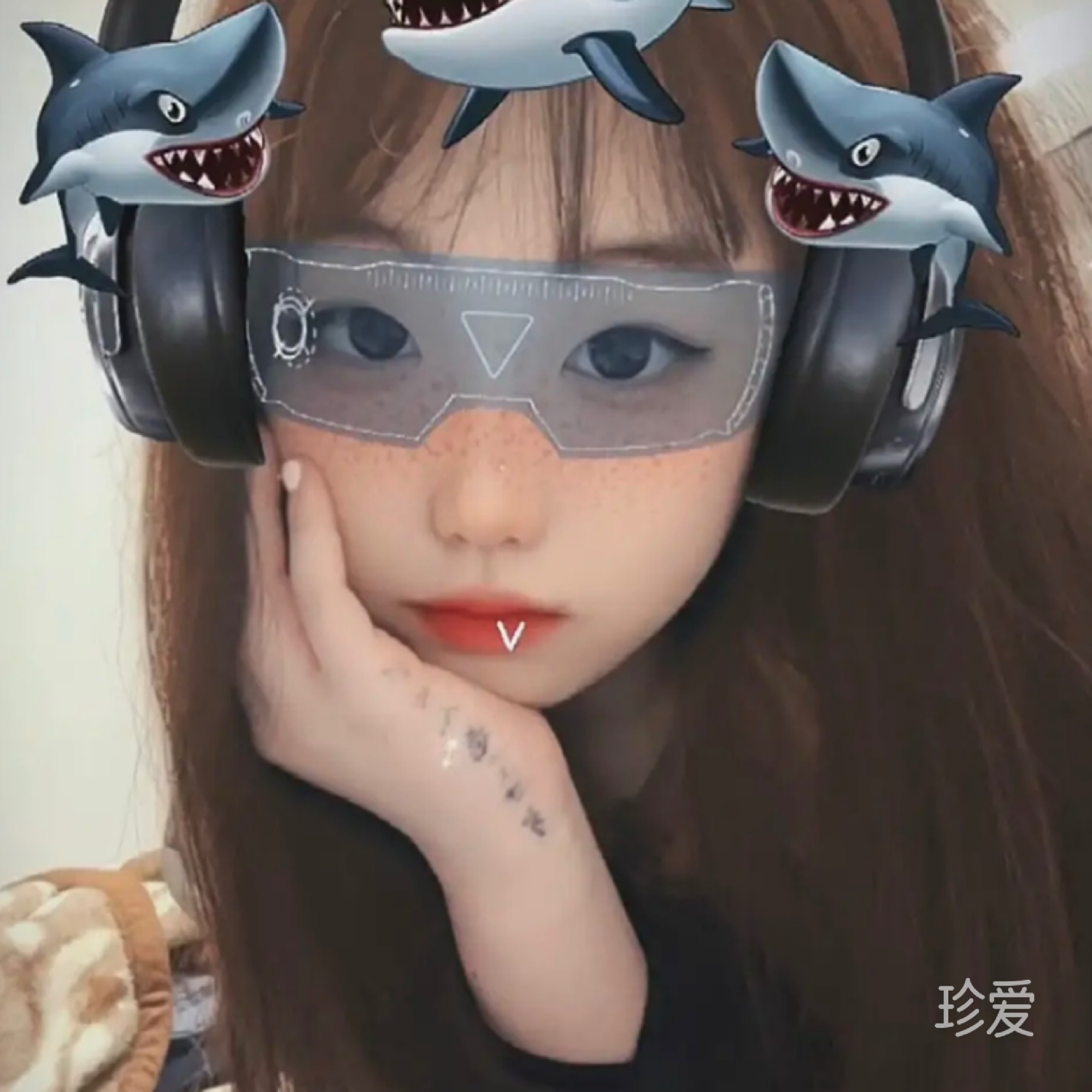 蒲公英的爱