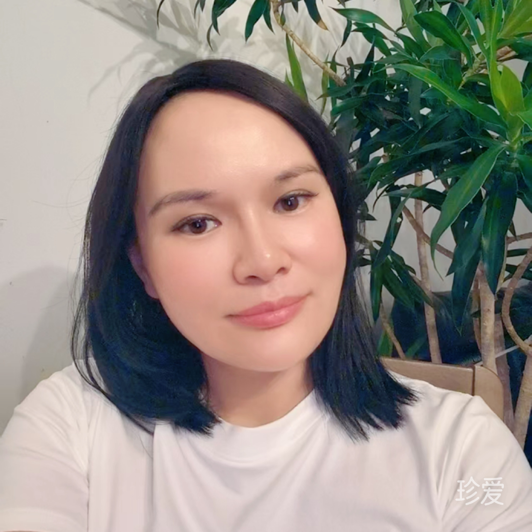 红豆