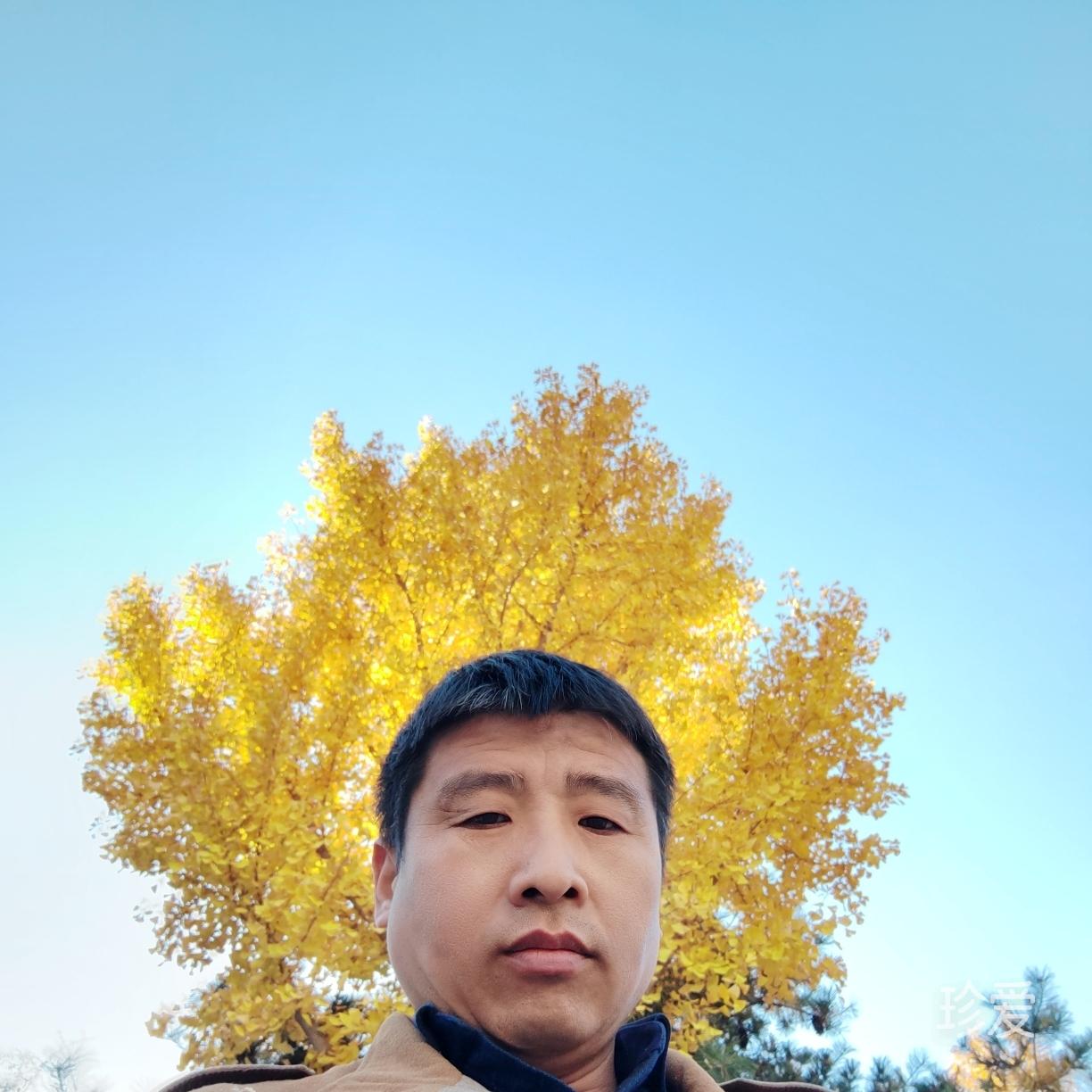真情等待