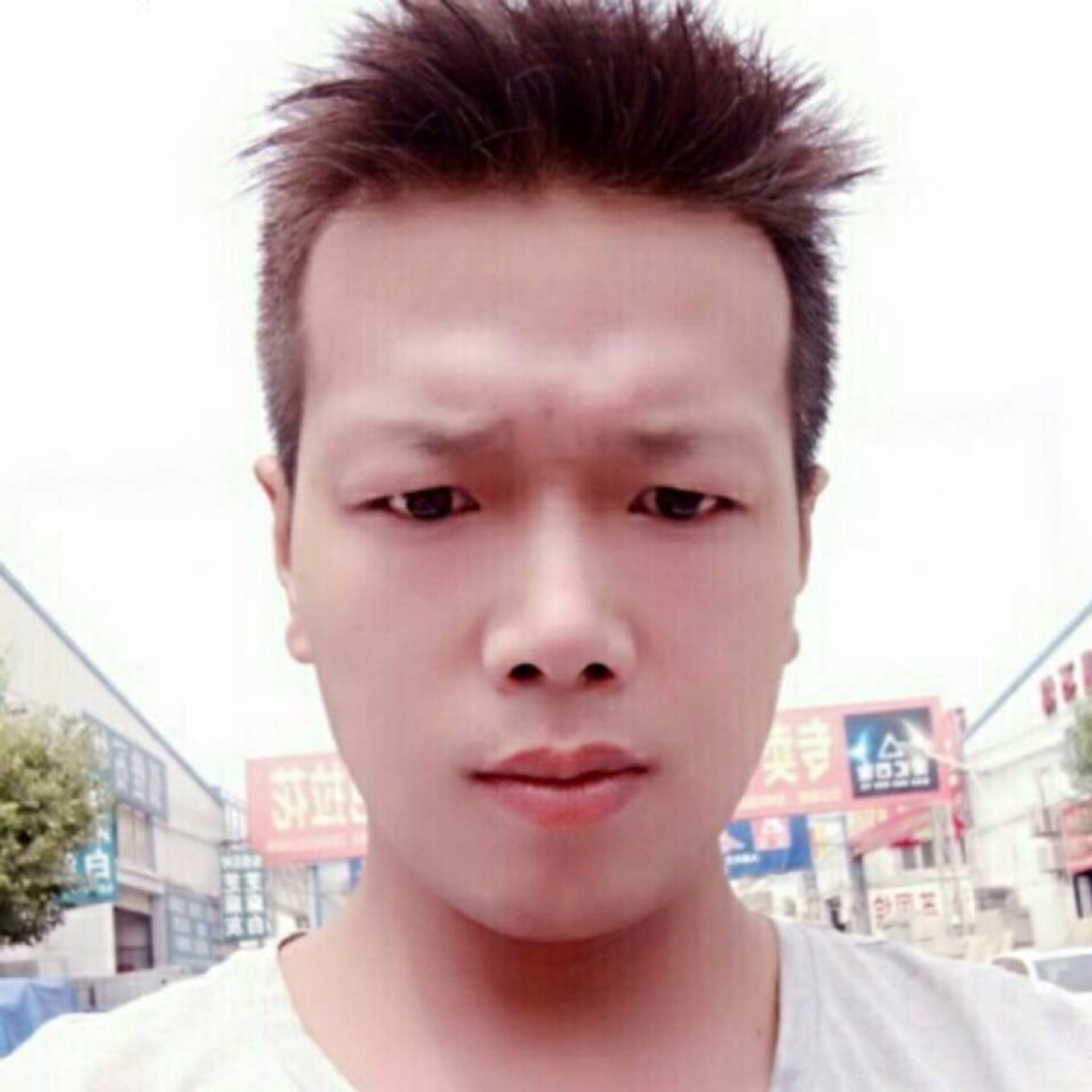 情深不寿慧极必