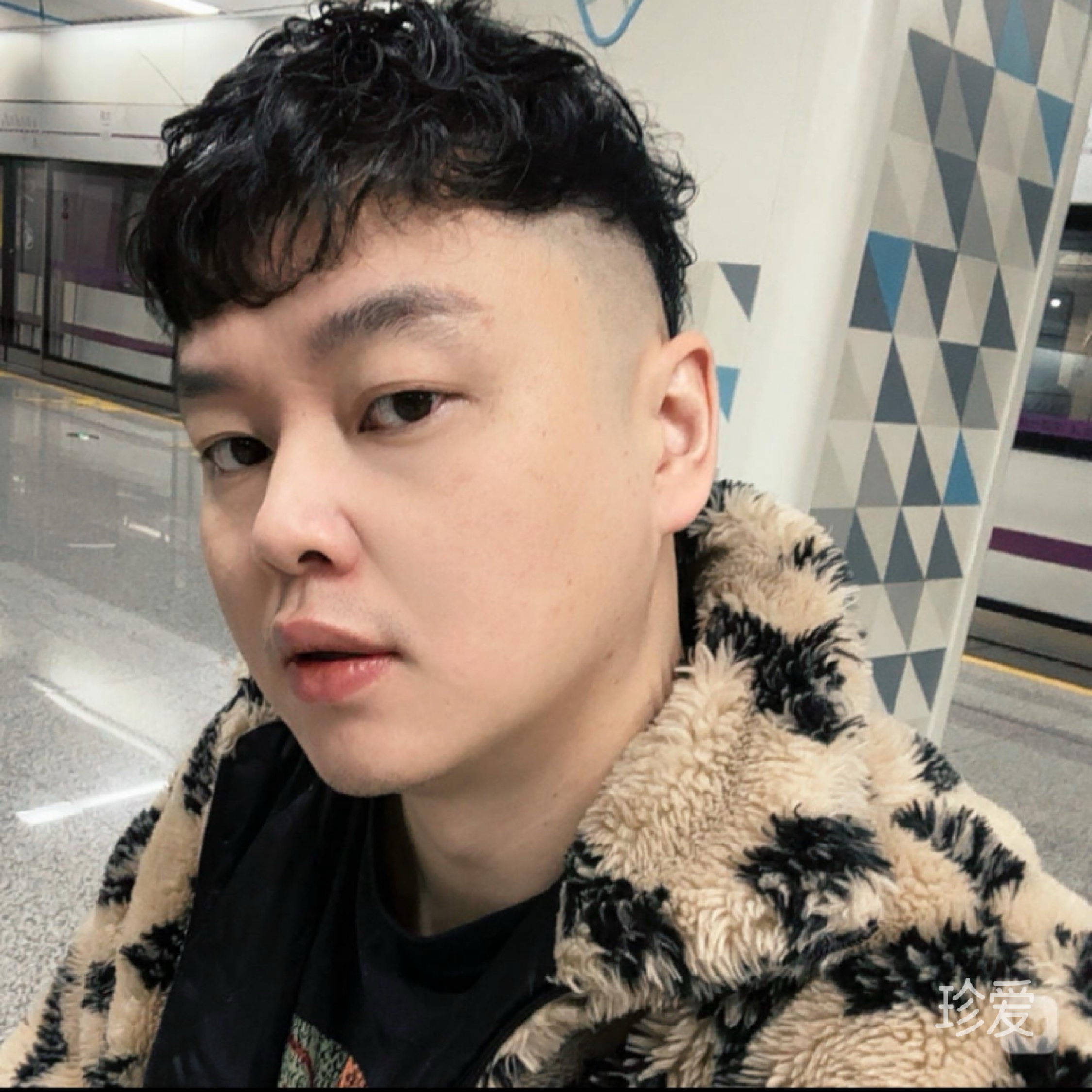 平凡且平淡之人