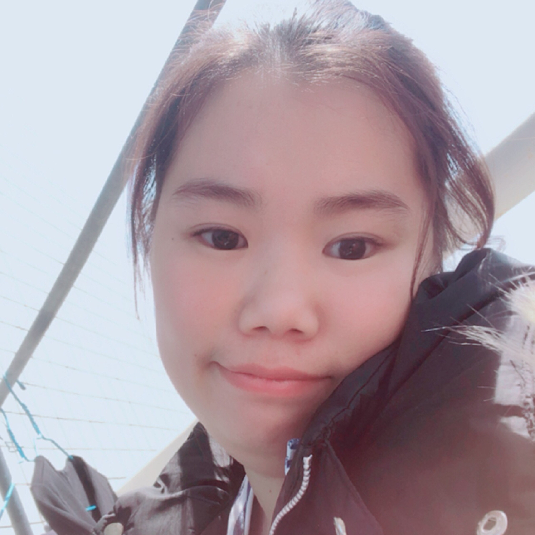 夏天戀愛吧元寶