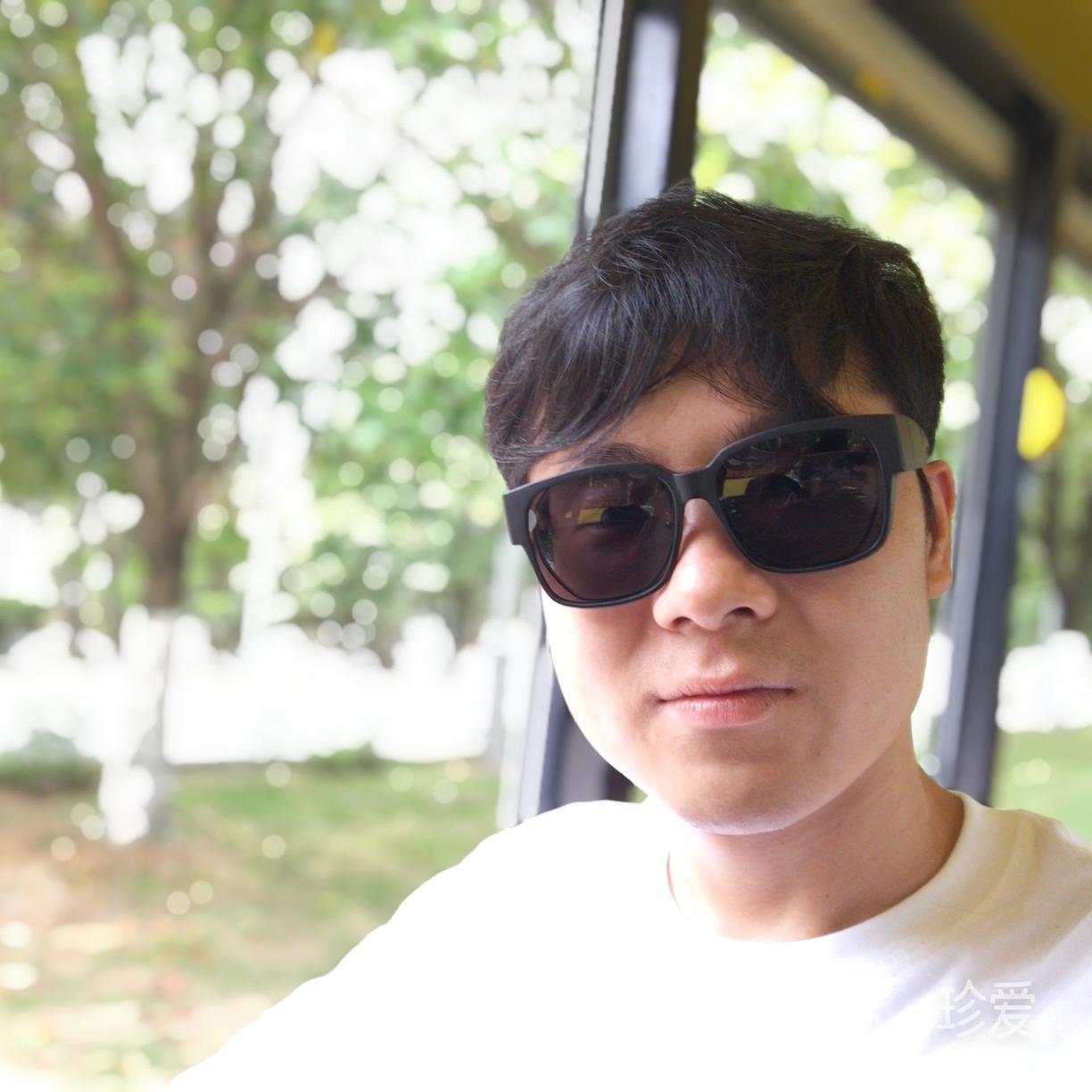 山有木兮木有枝