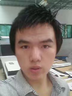 阳光的牧场