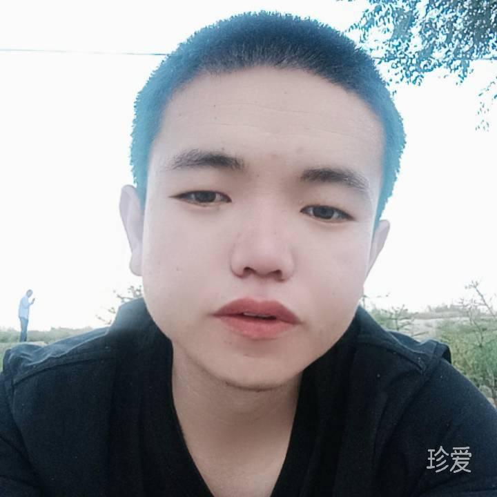 可爱的风